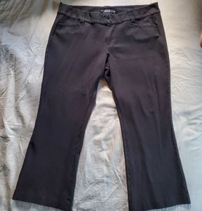 Torrid Dress Pants (2 pairs!)